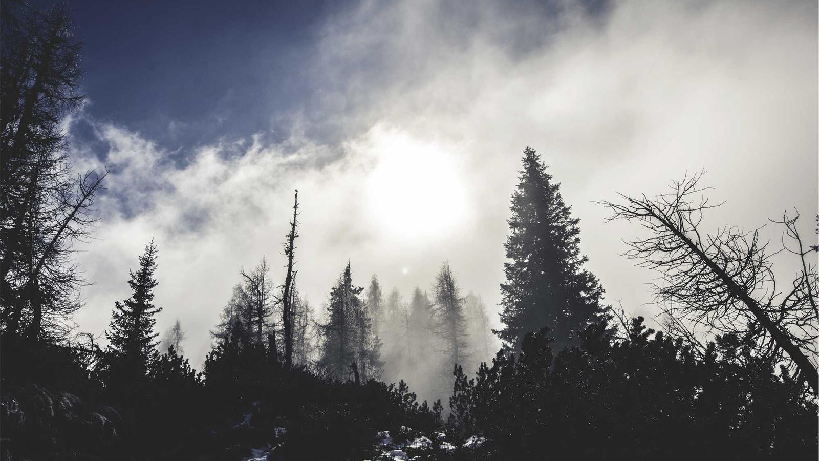 짐은 가볍게, 경험은 풍성하게