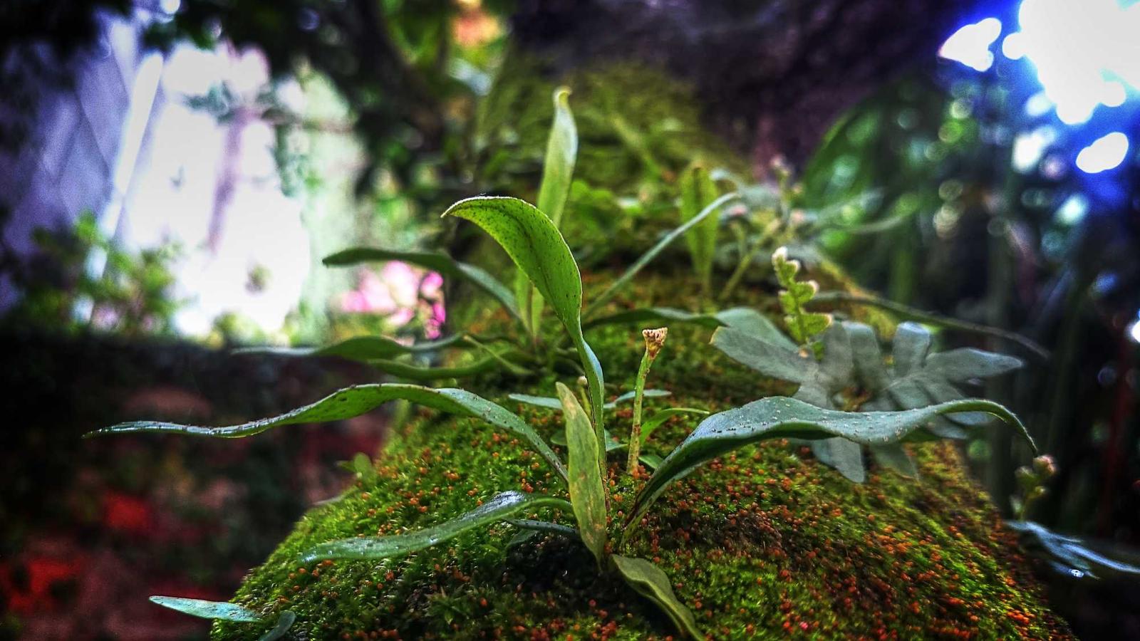 짐은 가볍게, 경험은 풍성하게