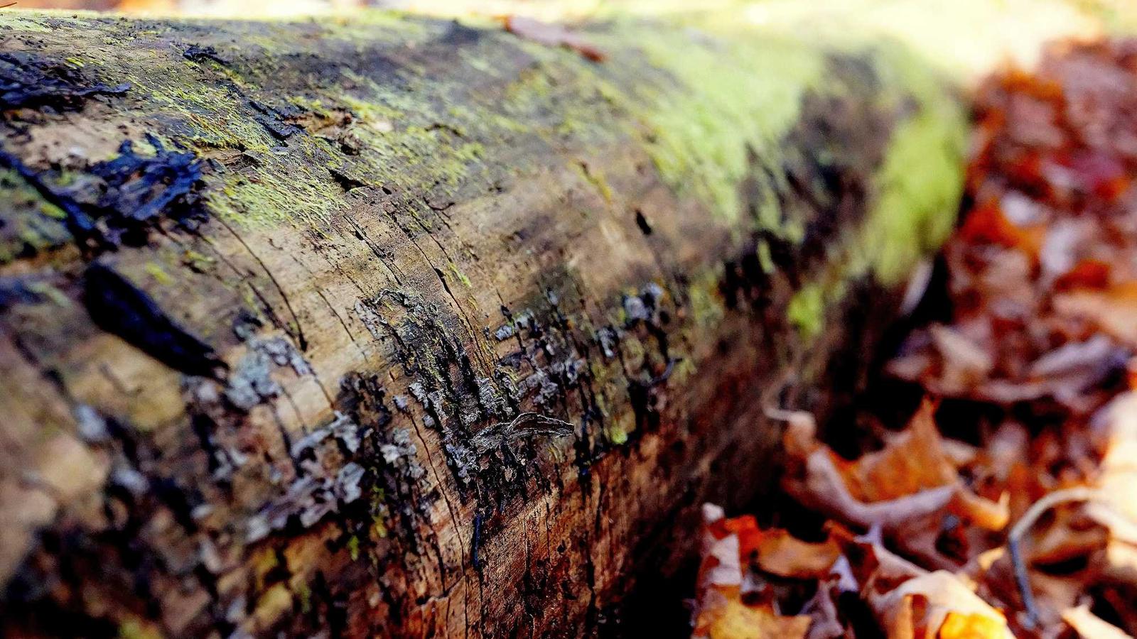 하루 10분 루틴으로 몸 트기 / Daily Movement That Actually Sticks — Sleep Hygiene (2025)