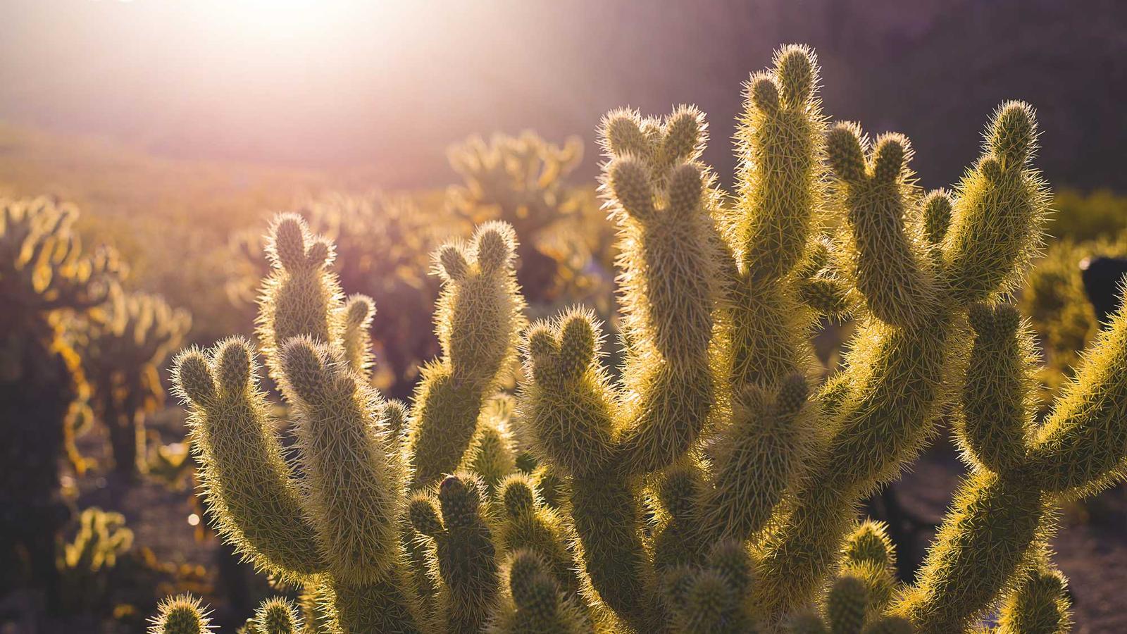 2일 도시 여행, 실전 템플릿