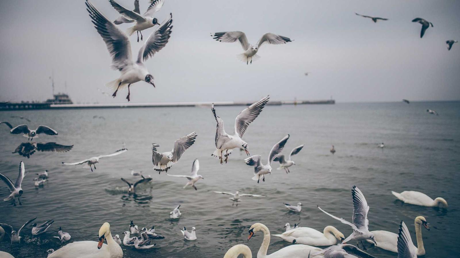 보면서 배우는 촬영 포인트 / Log Films the Smart Way — K-Cinema (2025)