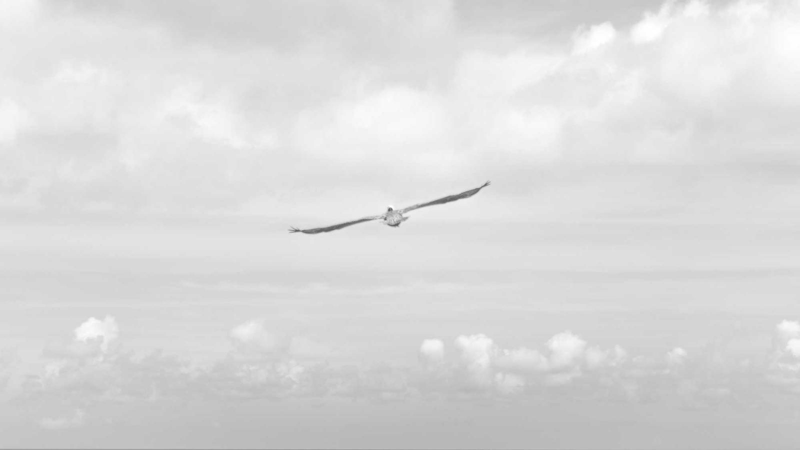 짐은 가볍게, 경험은 풍성하게