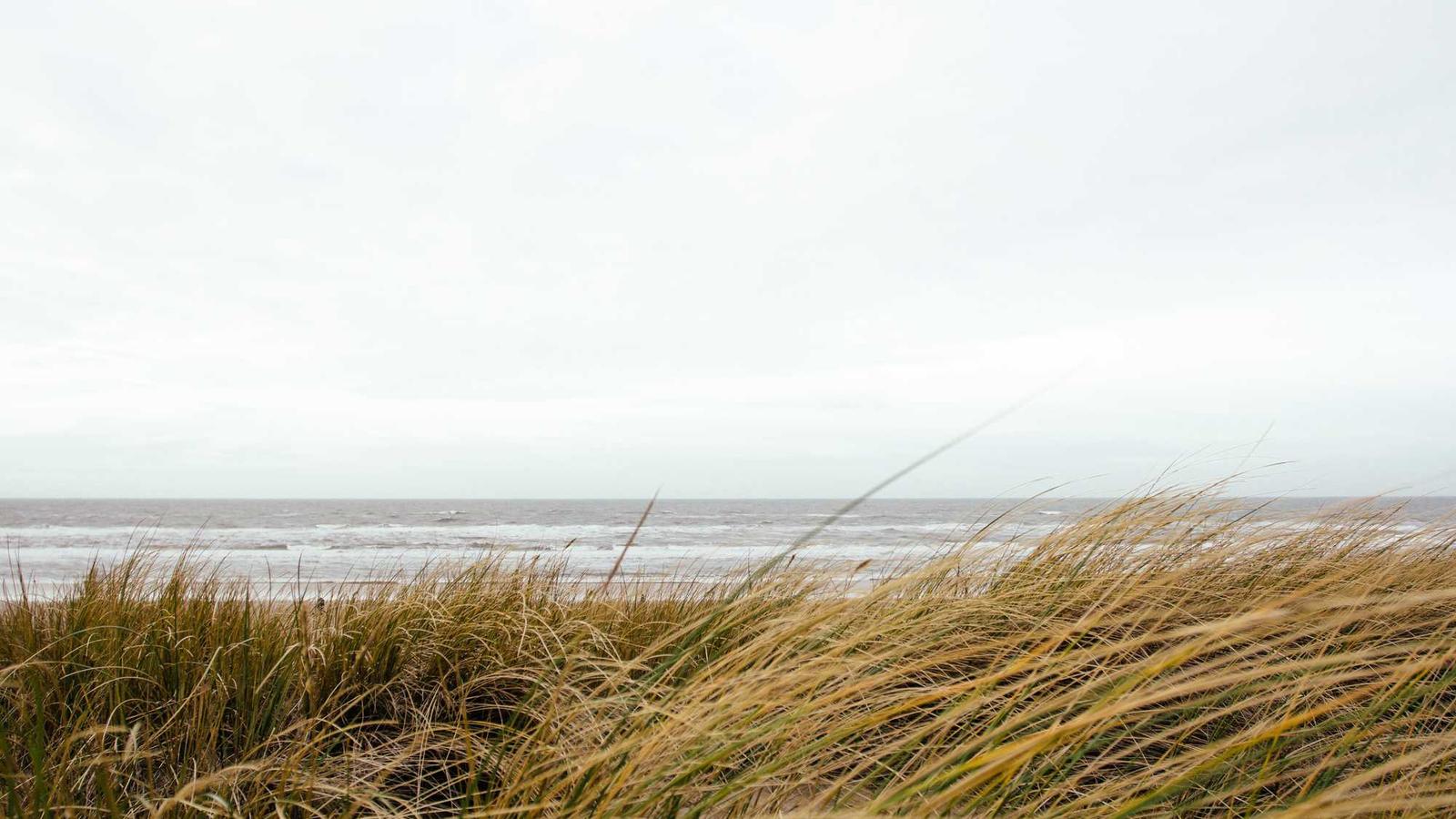 Pack Smart, Move Light: A Practical Starter — Budget Itinerary (2025) / 2일 도시 여행, 가볍게 계획하는 법