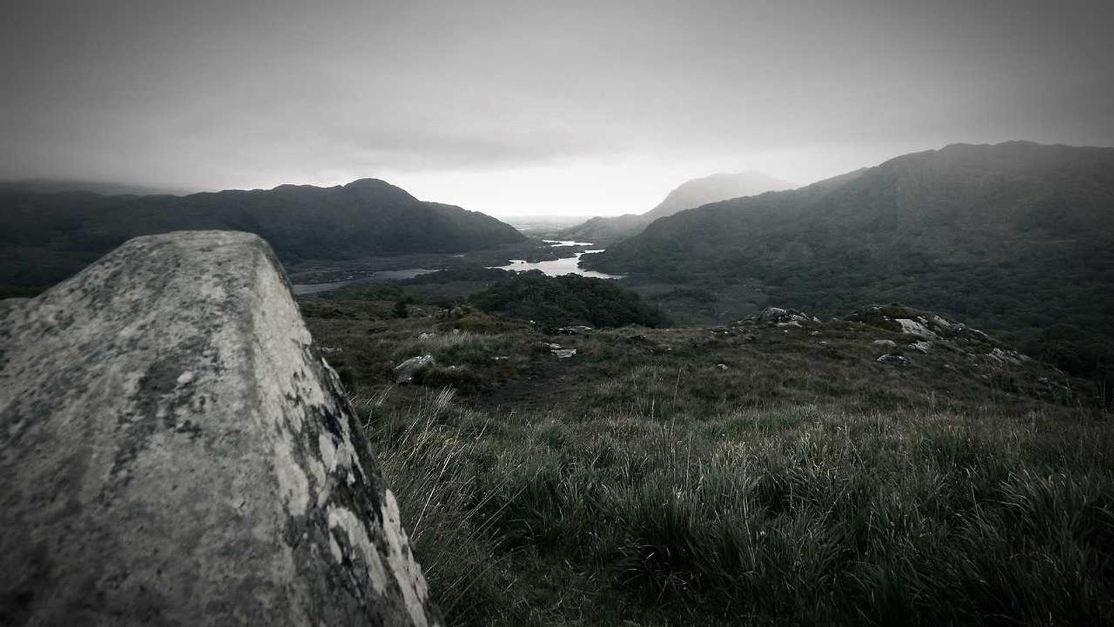 Starter Guide to Health (2025) / health 시작 가이드