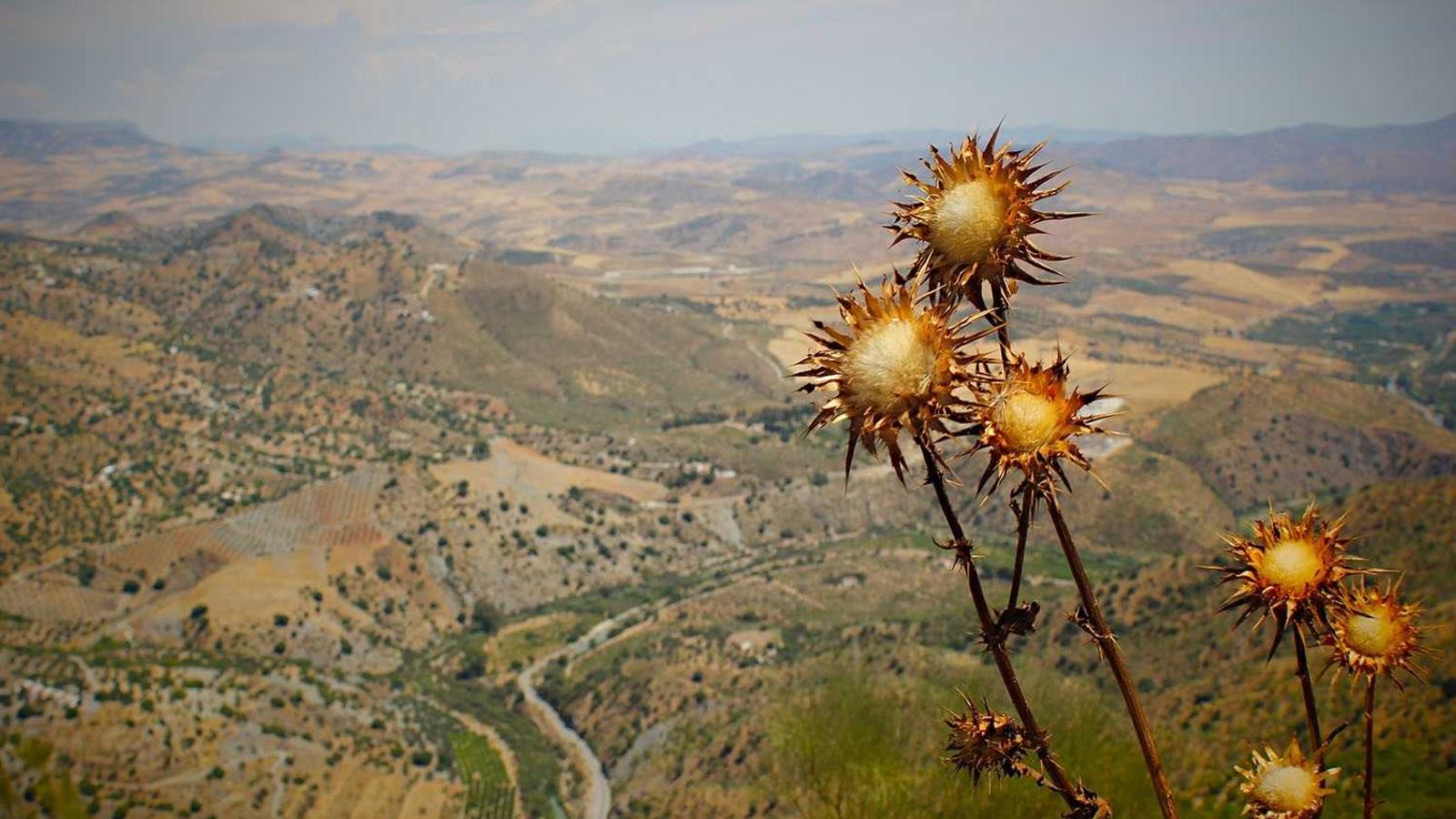 시간을 아끼는 작은 습관 / Build a Small-But-Serious Routine (2025)