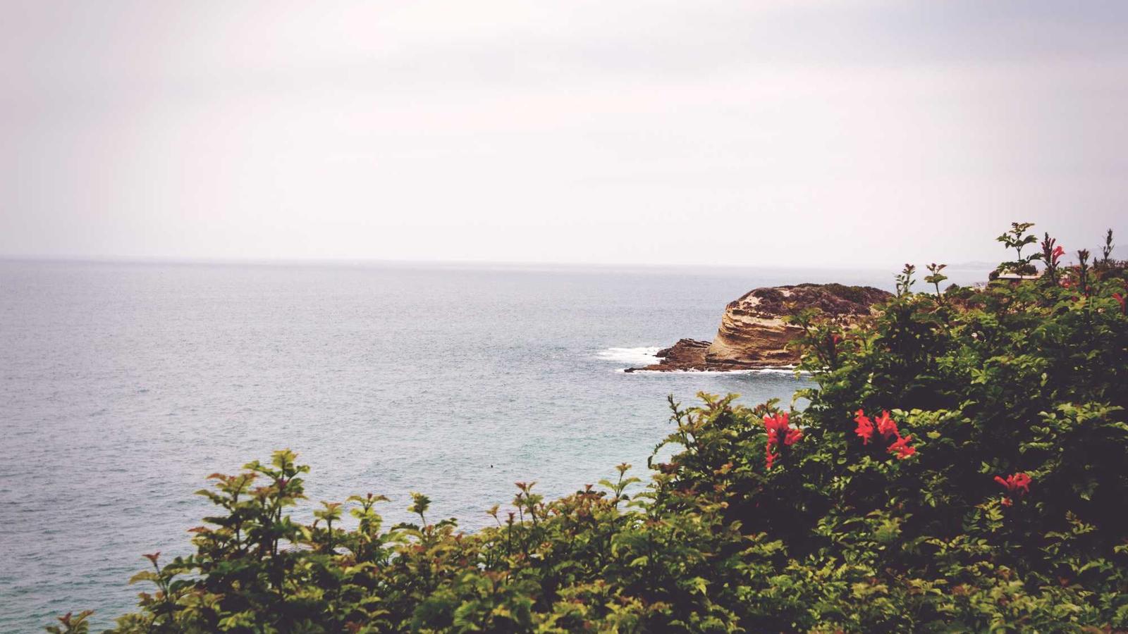 시간을 아끼는 작은 습관 / Build a Small-But-Serious Routine (2025)