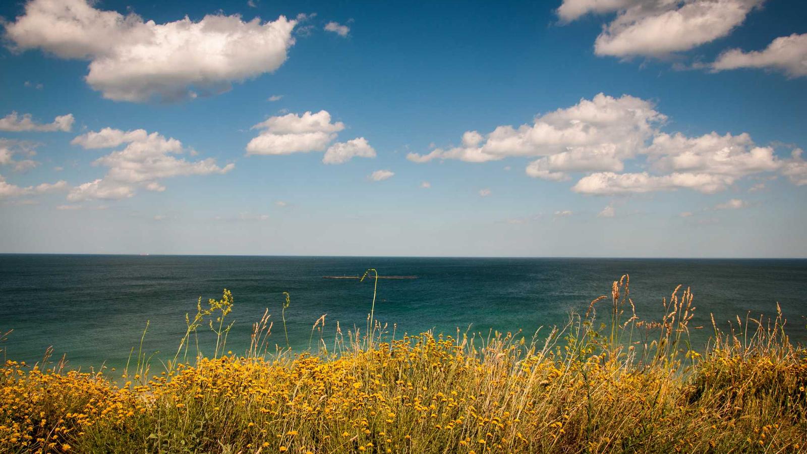 movies — 핵심만 빠르게 정리(2025) / Movies — Practical Starter (2025)