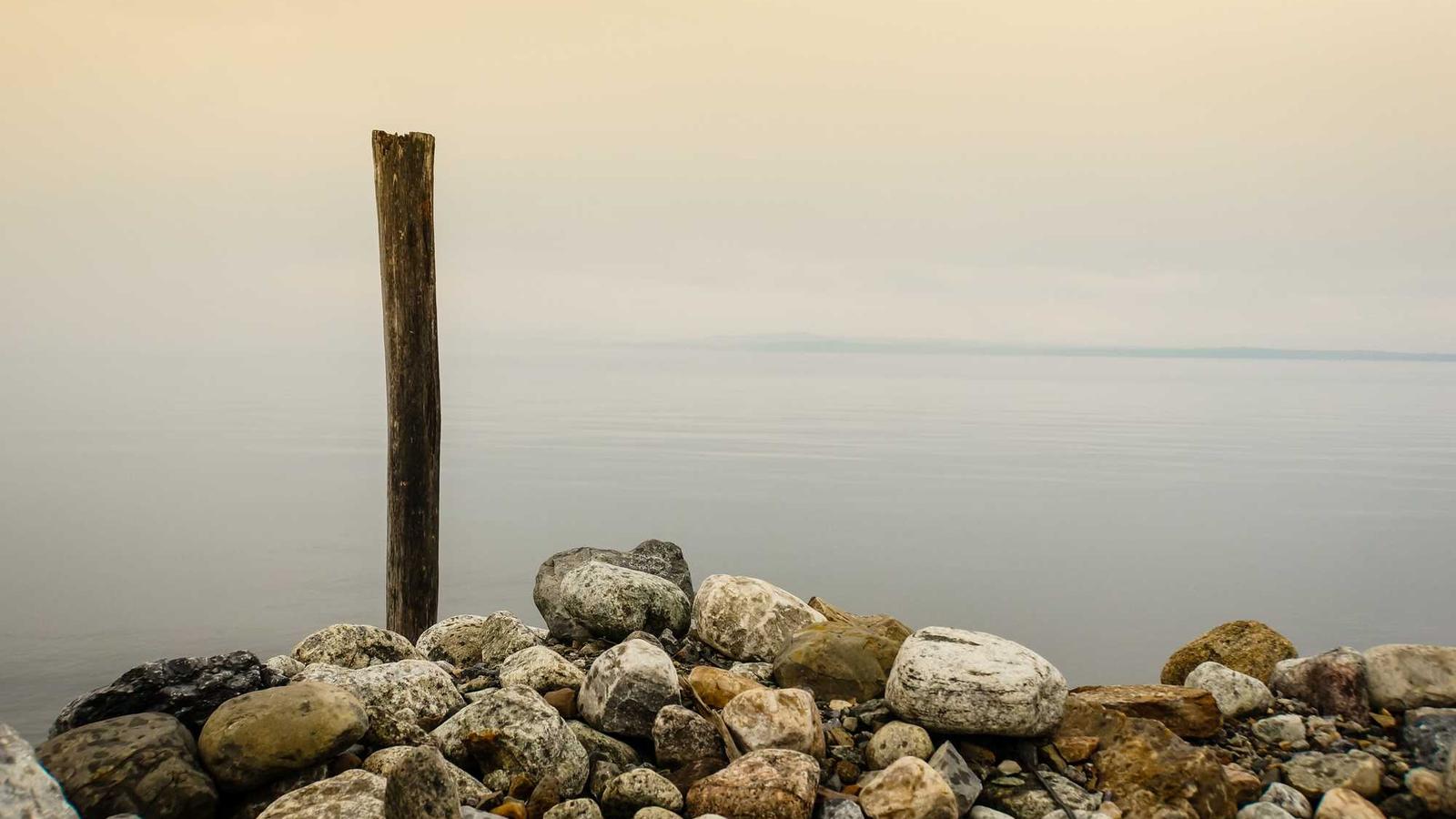 music — 핵심만 빠르게 정리(2025) / Music — Practical Starter (2025)