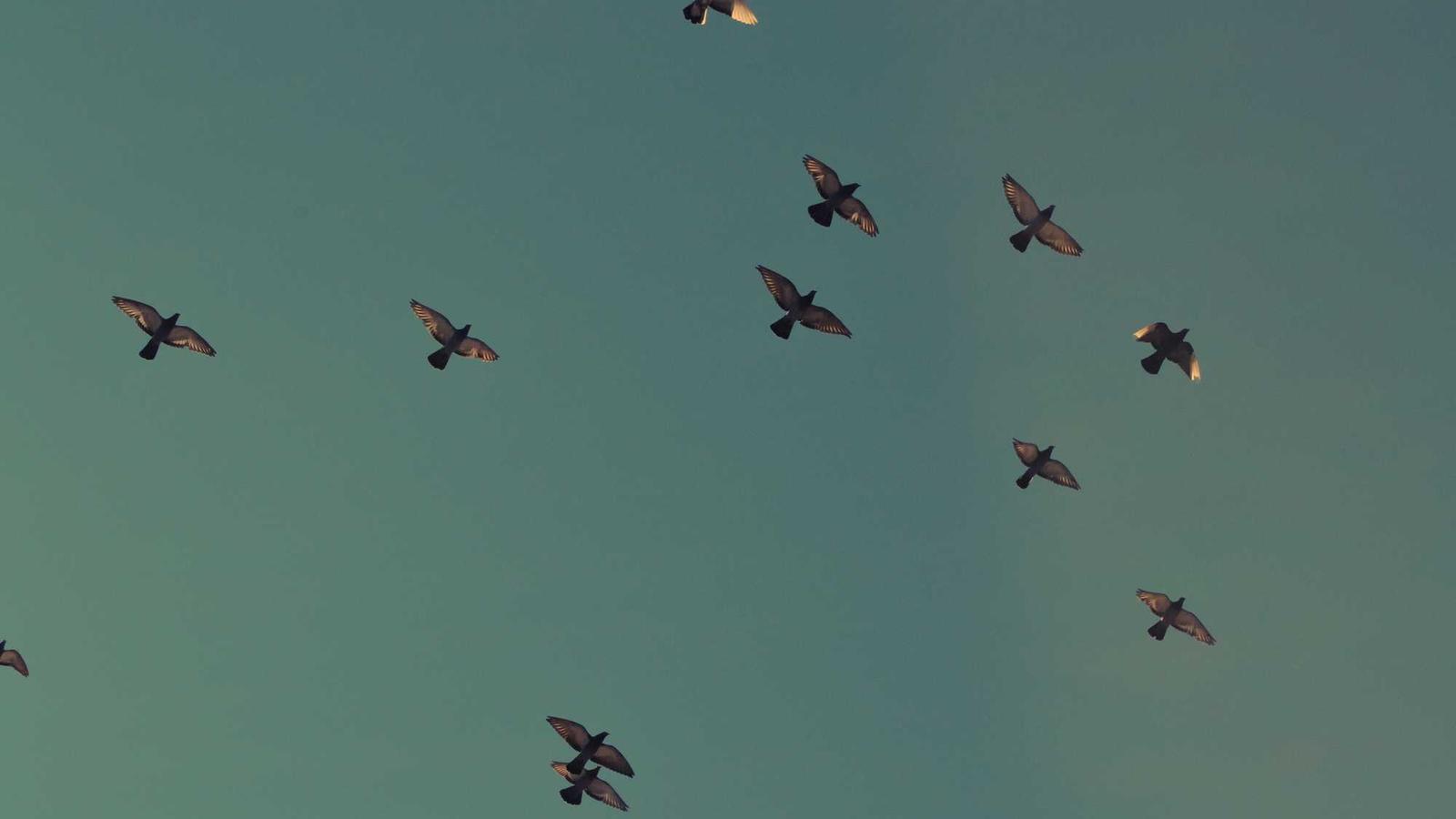 Tech — Practical Starter (2025)