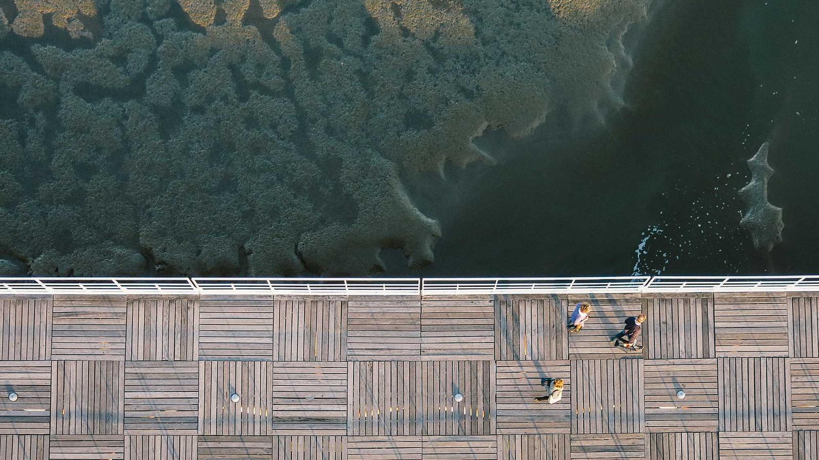 Tech — Practical Starter (2025)