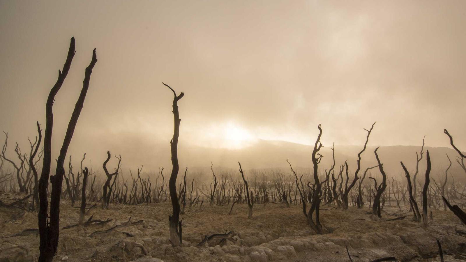 Tech — Practical Starter (2025)