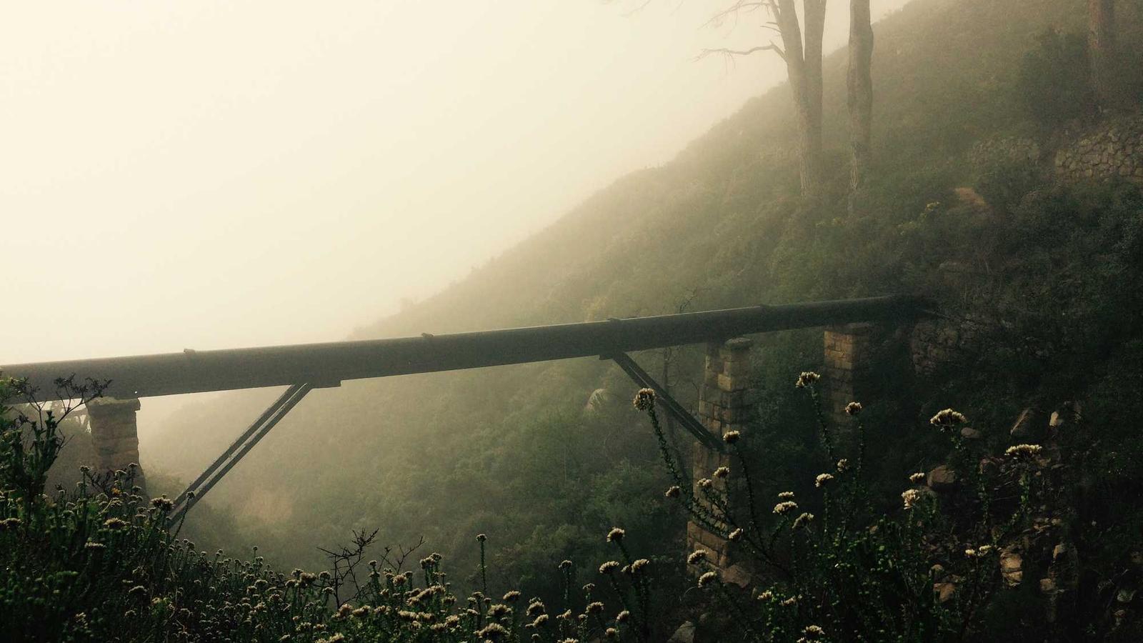 Tech — Practical Starter (2025)